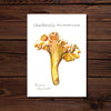 Chanterelle Mushroom Print - 5 x 7