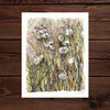 Fields of Cottongrass Art Print 11x14