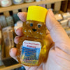 Honey Bear - Teeny Tiny