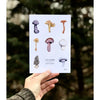 Mushrooms of West Virginia Print - 5 x 7