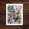Turkey Tail Mushroom Art Print 11x14