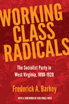 Working Class Radicals